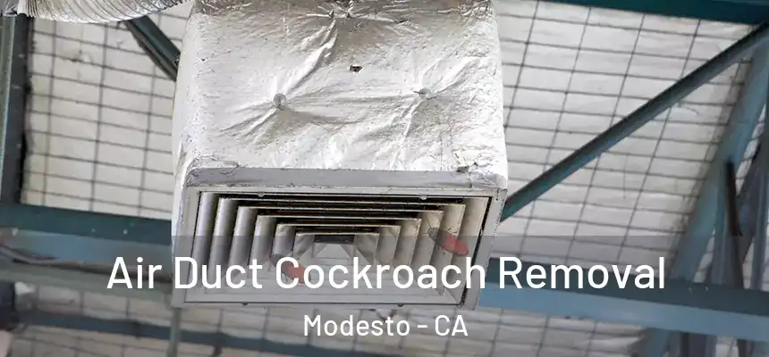 Air Duct Cockroach Removal Modesto - CA
