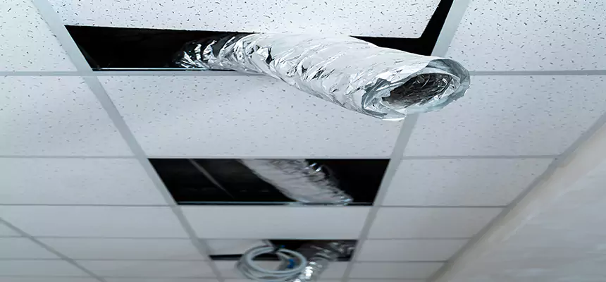 Affordable HVAC Sanitizing After Pest Removal in Modesto