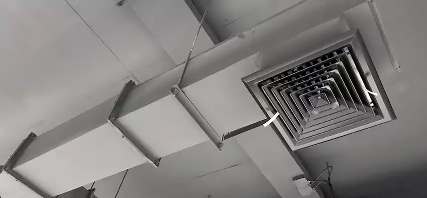 Our Rodent Droppings In Vents Services in Modesto, CA