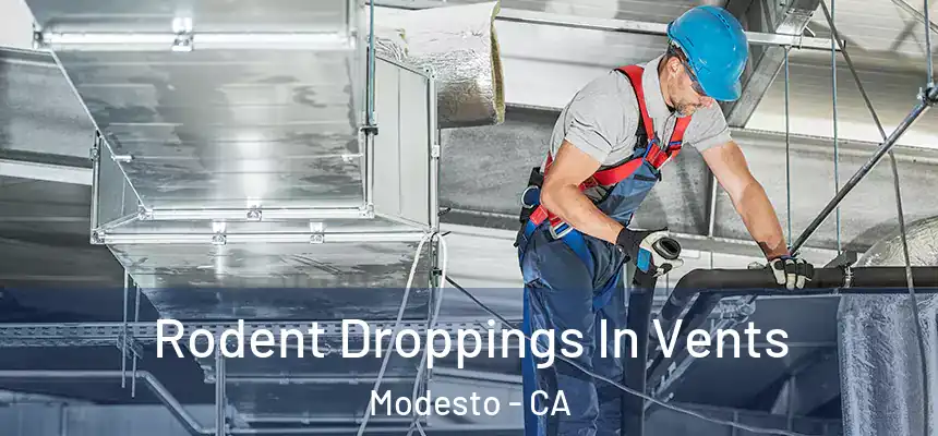 Rodent Droppings In Vents Modesto - CA