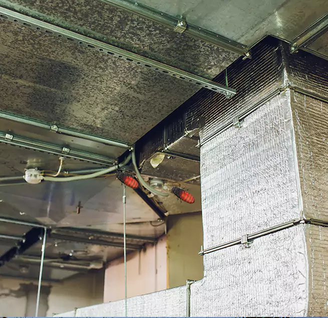 Why Homeowners & Businesses Trust Us in Modesto, CA?