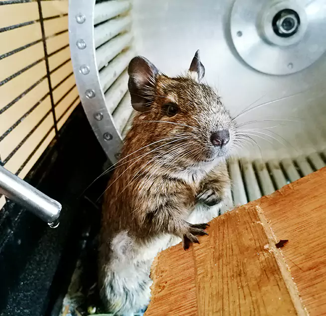 Why Homeowners & Businesses Trust Us Modesto, CA