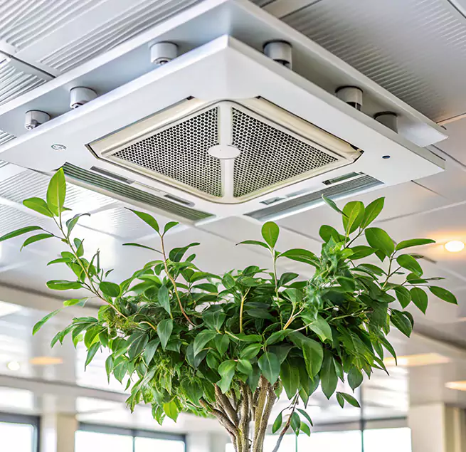 Why Homeowners & Businesses Trust Us in Modesto, CA?